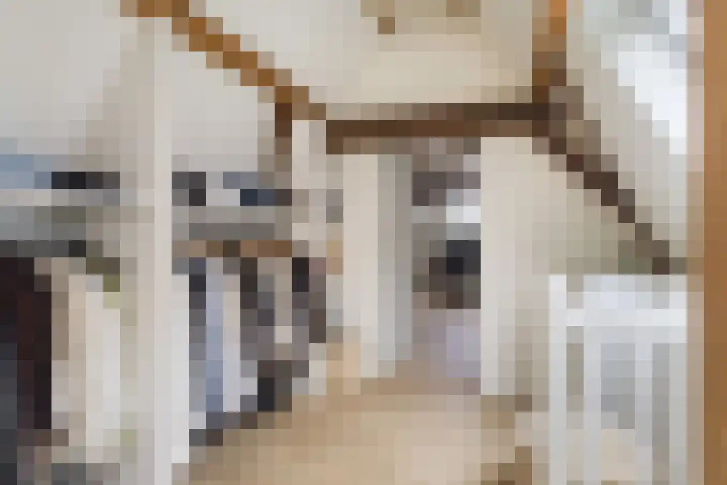 Naaierstraat 26 g Gouda thumbnail 32