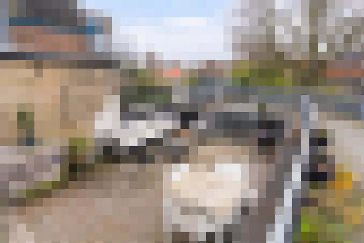 Naaierstraat 26 g Gouda thumbnail 43