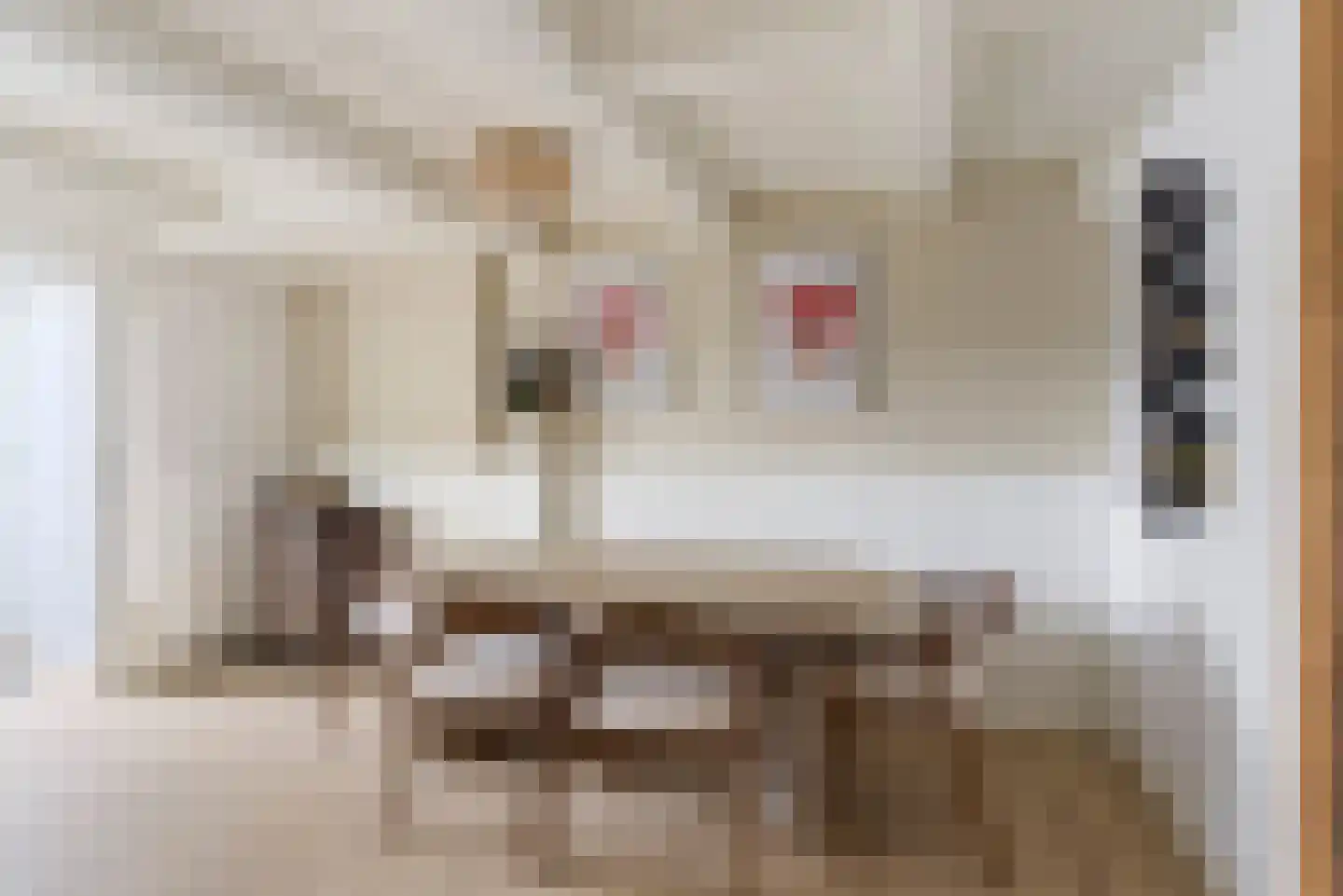 Naaierstraat 26 g Gouda thumbnail 8