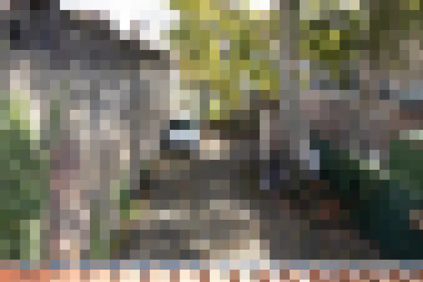 Naaierstraat 31 e Gouda thumbnail 17