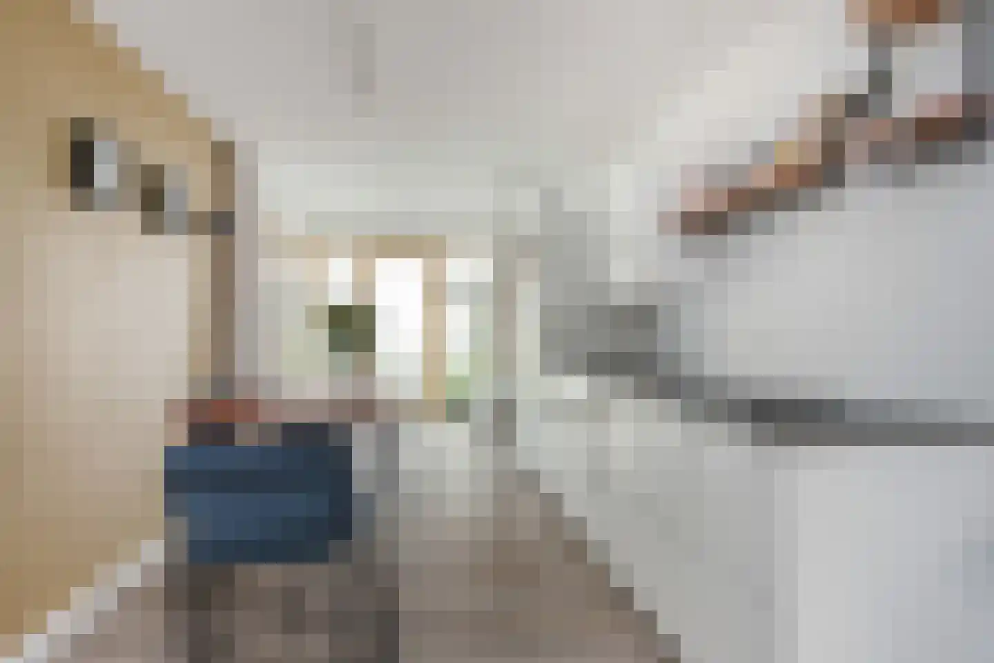 Naaierstraat 31 e Gouda thumbnail 5