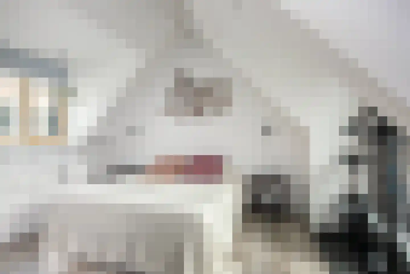 Naaierstraat 31 e Gouda thumbnail 7