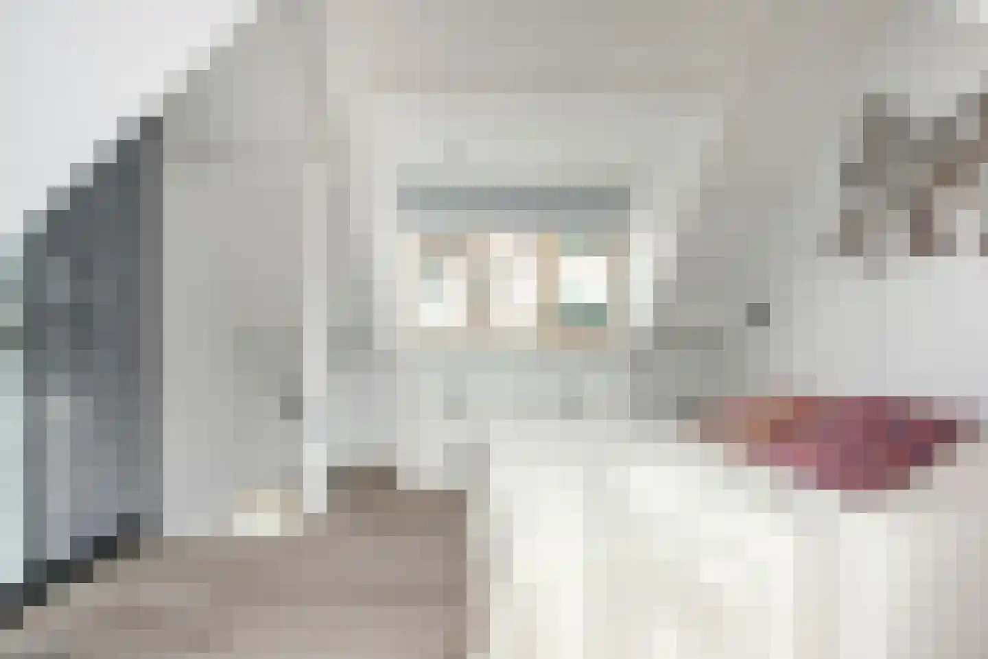 Naaierstraat 31 e Gouda thumbnail 8