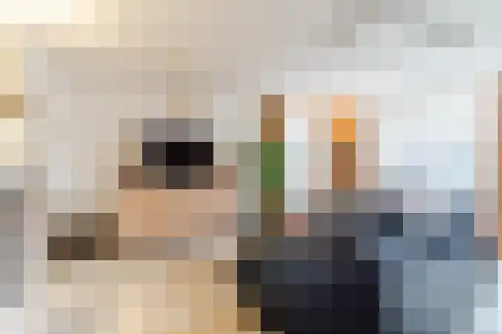 Naaldakker 15 Lage Mierde thumbnail 11