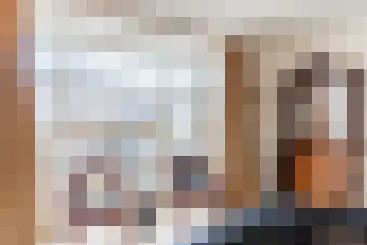 Naaldakker 15 Lage Mierde thumbnail 12