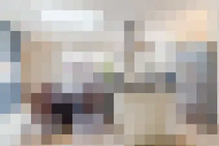 Naaldakker 15 Lage Mierde thumbnail 15