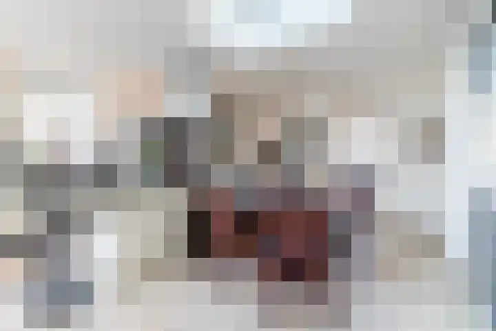 Naaldakker 15 Lage Mierde thumbnail 16