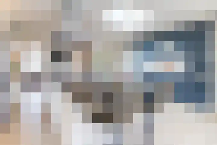 Naaldakker 15 Lage Mierde thumbnail 17