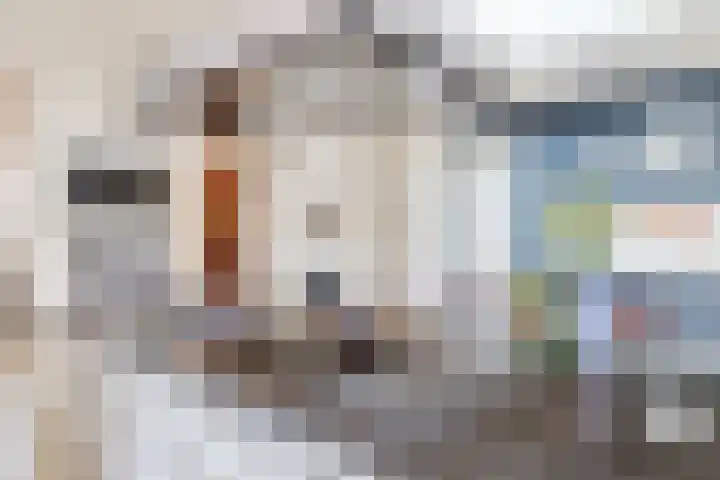 Naaldakker 15 Lage Mierde thumbnail 18