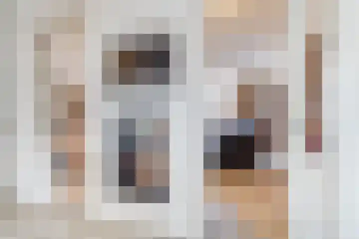 Naaldakker 15 Lage Mierde thumbnail 19