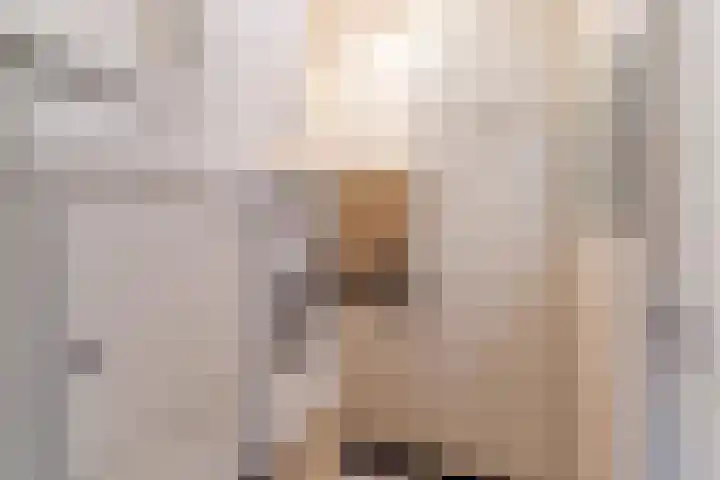 Naaldakker 15 Lage Mierde thumbnail 20