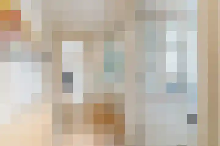 Naaldakker 15 Lage Mierde thumbnail 21