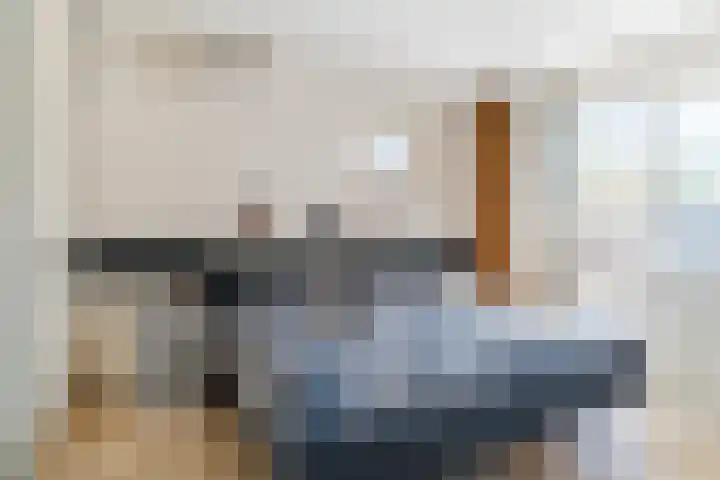Naaldakker 15 Lage Mierde thumbnail 24