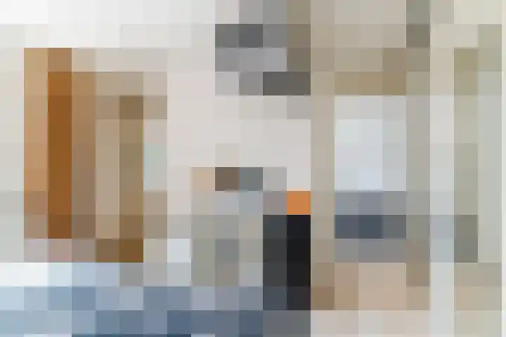 Naaldakker 15 Lage Mierde thumbnail 26