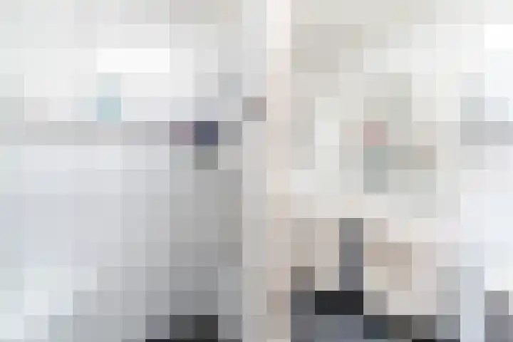 Naaldakker 15 Lage Mierde thumbnail 27