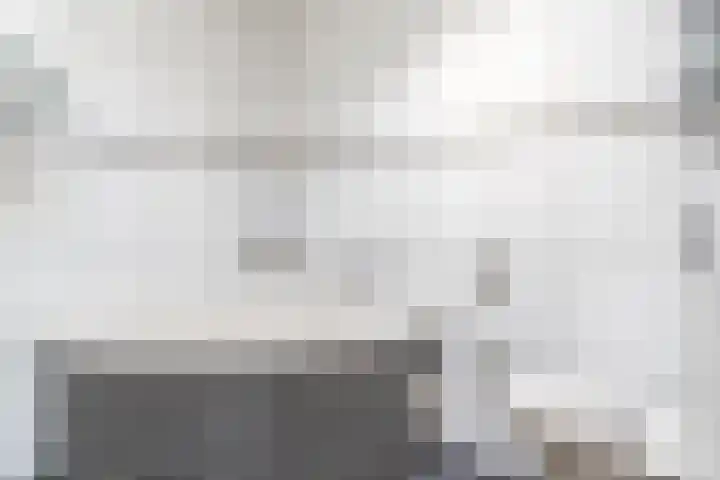 Naaldakker 15 Lage Mierde thumbnail 28