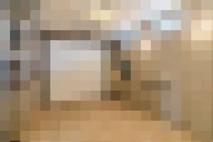 Naaldakker 15 Lage Mierde thumbnail 29