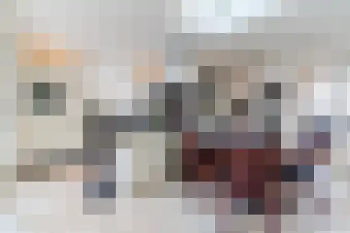 Naaldakker 15 Lage Mierde foto 3