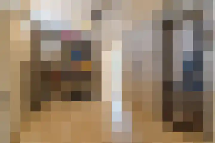Naaldakker 15 Lage Mierde thumbnail 30