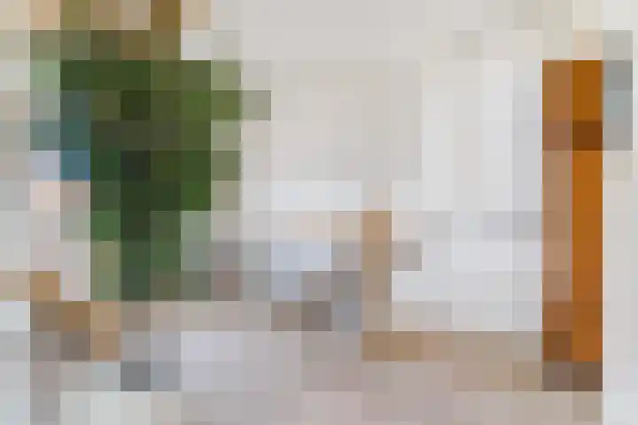Naaldakker 15 Lage Mierde thumbnail 33