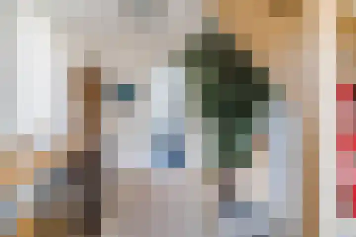 Naaldakker 15 Lage Mierde thumbnail 34