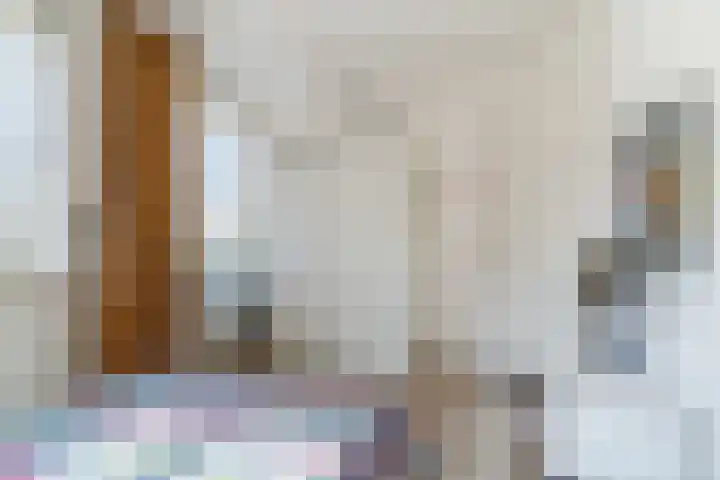 Naaldakker 15 Lage Mierde thumbnail 36