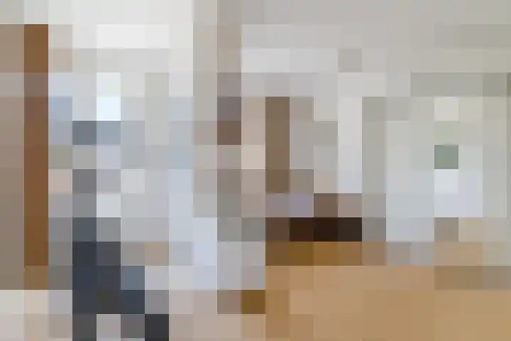 Naaldakker 15 Lage Mierde thumbnail 37