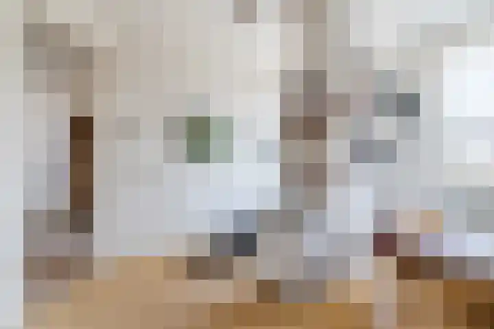 Naaldakker 15 Lage Mierde thumbnail 38