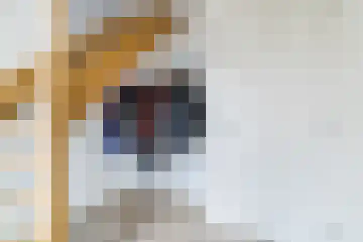 Naaldakker 15 Lage Mierde thumbnail 4