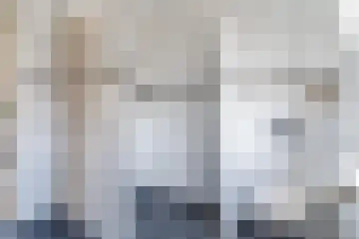 Naaldakker 15 Lage Mierde thumbnail 40