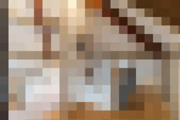 Naaldakker 15 Lage Mierde thumbnail 43