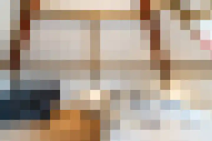 Naaldakker 15 Lage Mierde thumbnail 44
