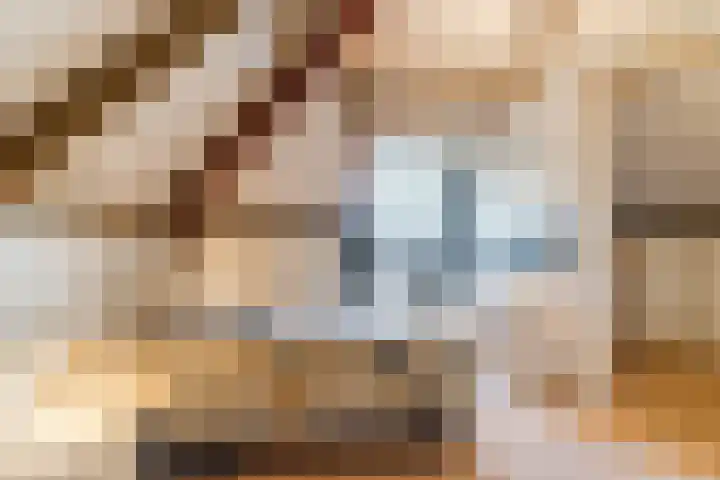 Naaldakker 15 Lage Mierde thumbnail 45