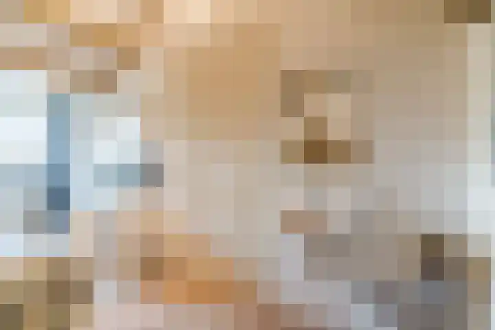 Naaldakker 15 Lage Mierde thumbnail 46