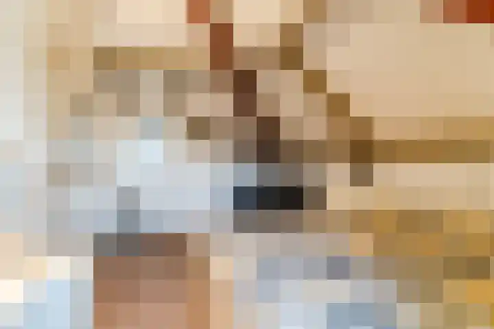 Naaldakker 15 Lage Mierde thumbnail 47