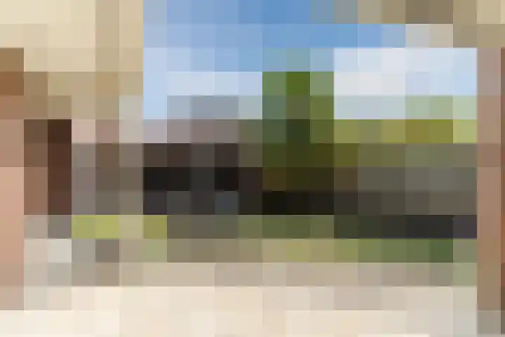 Naaldakker 15 Lage Mierde thumbnail 48