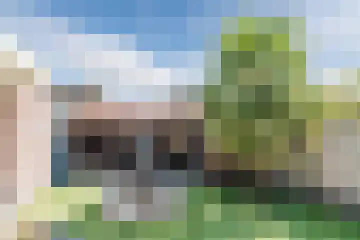 Naaldakker 15 Lage Mierde thumbnail 49
