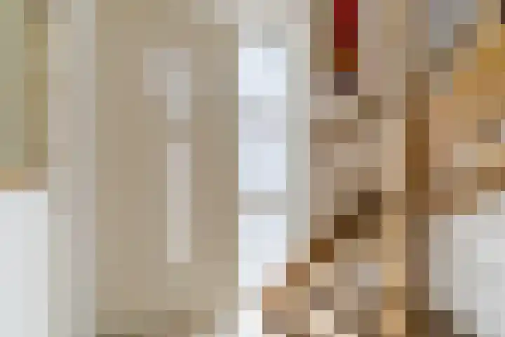 Naaldakker 15 Lage Mierde thumbnail 5
