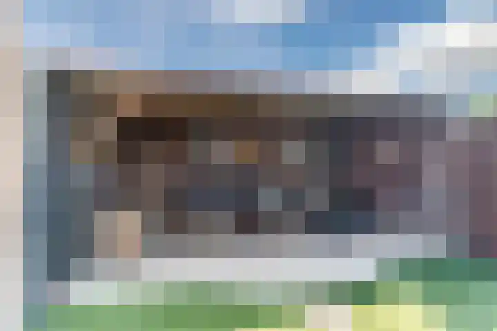 Naaldakker 15 Lage Mierde thumbnail 50