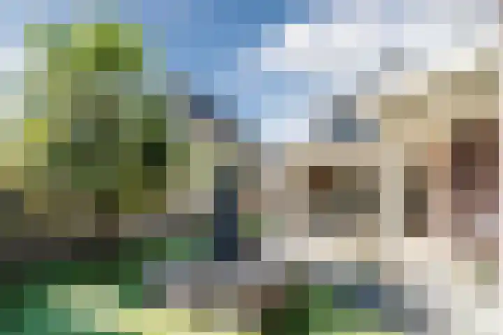 Naaldakker 15 Lage Mierde thumbnail 51
