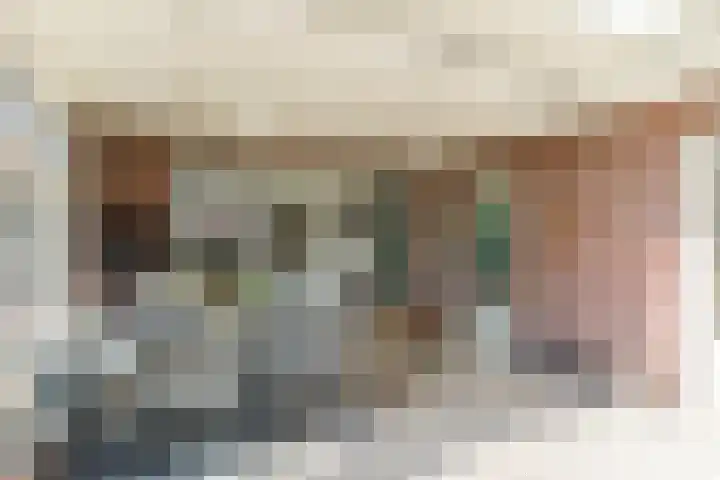 Naaldakker 15 Lage Mierde thumbnail 52