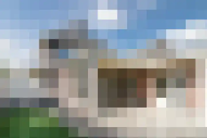Naaldakker 15 Lage Mierde thumbnail 54