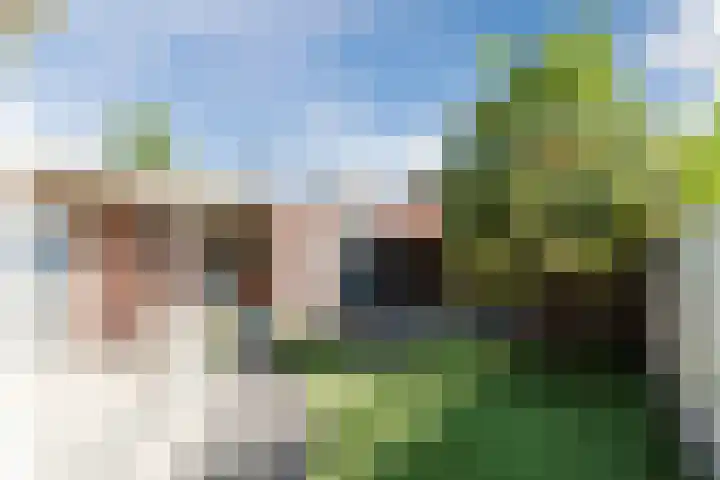 Naaldakker 15 Lage Mierde thumbnail 55