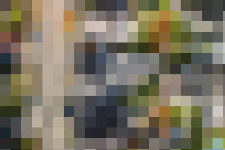 Naaldakker 15 Lage Mierde thumbnail 56
