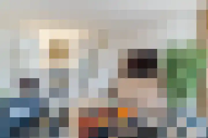 Naaldakker 15 Lage Mierde thumbnail 6