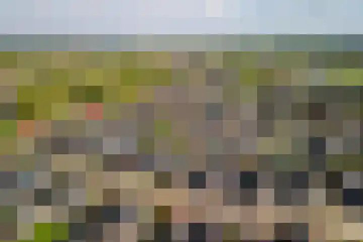 Naaldakker 15 Lage Mierde thumbnail 61
