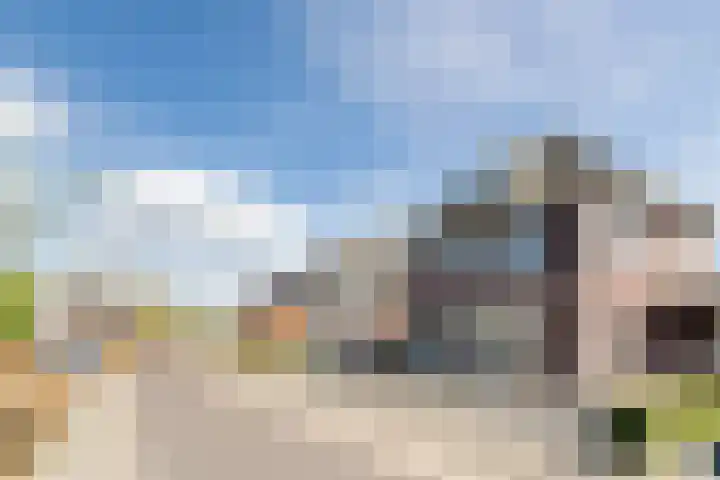 Naaldakker 15 Lage Mierde thumbnail 62