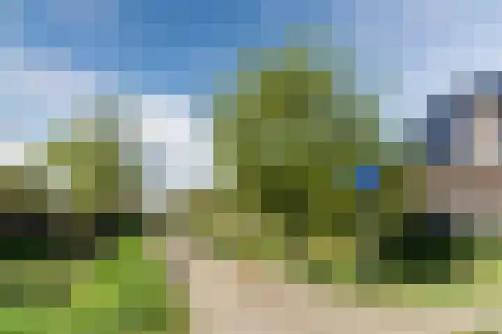 Naaldakker 15 Lage Mierde thumbnail 64