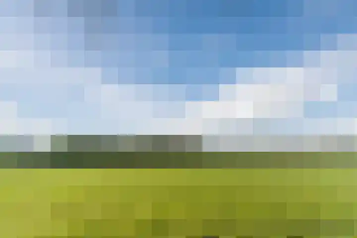 Naaldakker 15 Lage Mierde thumbnail 67