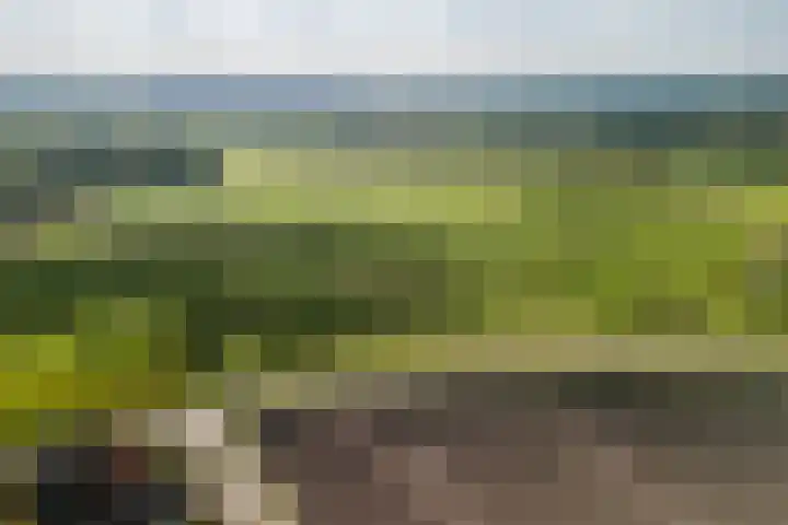 Naaldakker 15 Lage Mierde thumbnail 68